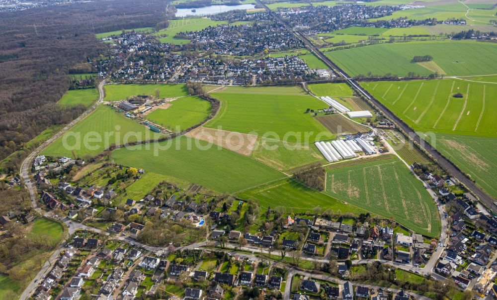 Duisburg from the bird's eye view: Glass roof surfaces in the greenhouse rows for Floriculture in the district Rahm in Duisburg in the state North Rhine-Westphalia, Germany