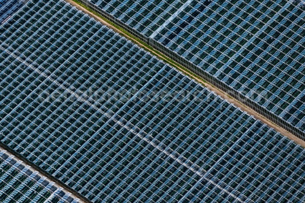 Tägerwilen from above - Glass roof surfaces in the greenhouse for vegetable growing ranks of BioFresh AG on street Poststrasse in Taegerwilen in the canton Thurgau, Switzerland