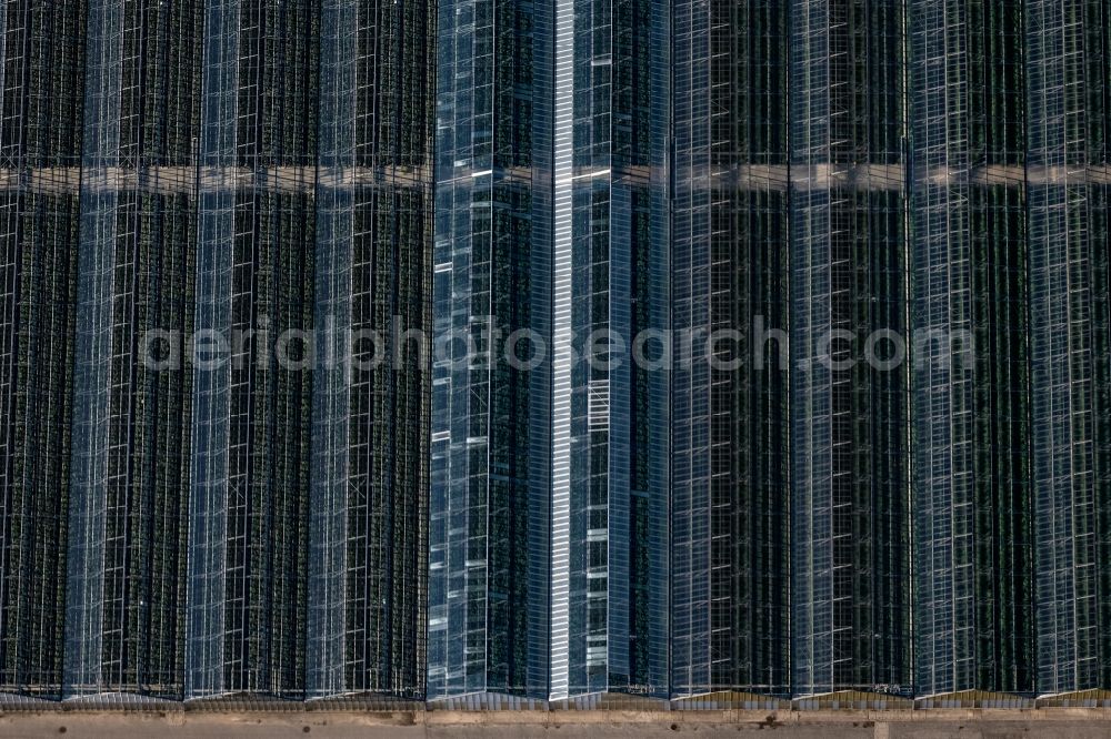 Tägerwilen from the bird's eye view: Glass roof surfaces in the greenhouse for vegetable growing ranks of BioFresh AG on street Poststrasse in Taegerwilen in the canton Thurgau, Switzerland