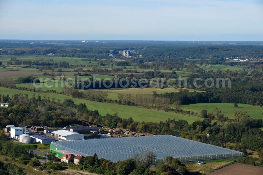 Bralitz from the bird's eye view: Glass roof surfaces in the greenhouse for vegetable growing ranks in Bralitz in the state Brandenburg, Germany