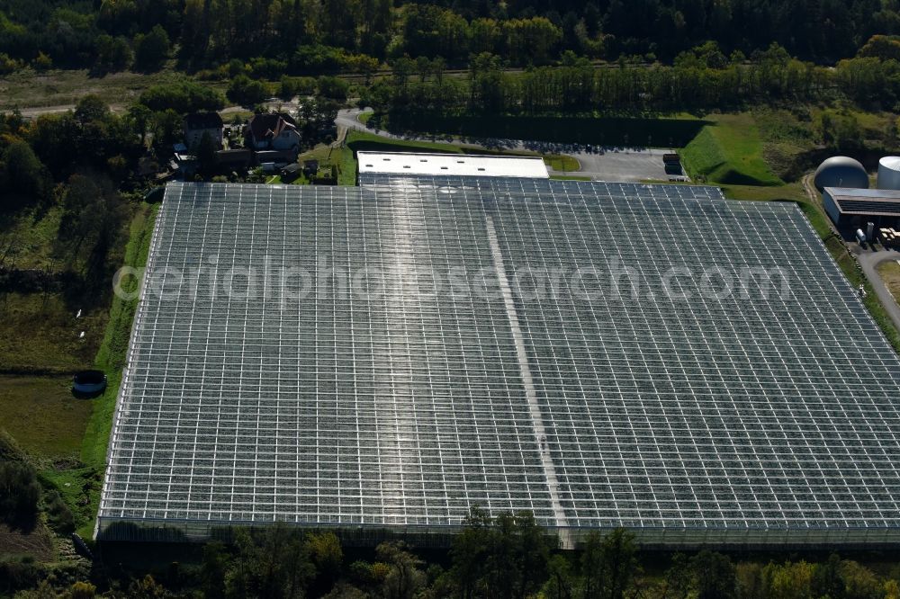 Bralitz from above - Glass roof surfaces in the greenhouse for vegetable growing ranks in Bralitz in the state Brandenburg, Germany