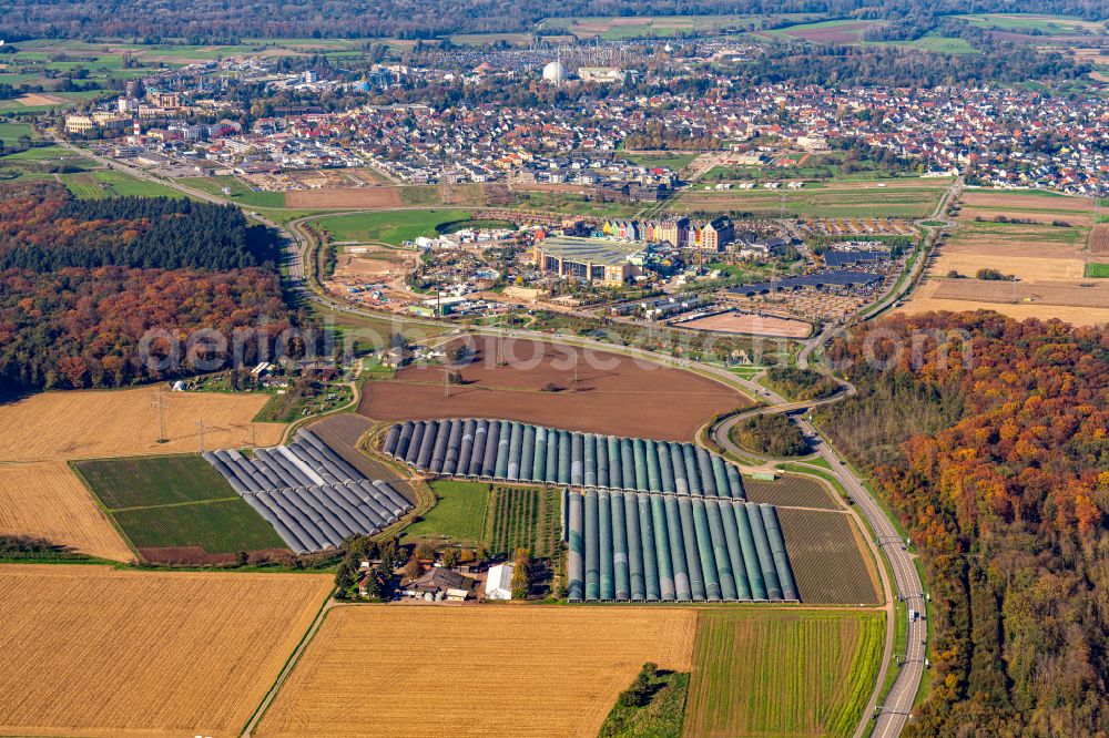 Ringsheim from above - Glass roof areas in the greenhouse rows for growing vegetables at the Bressel fruit and vegetable stand in Ringsheim in the state of Baden-Wuerttemberg, Germany