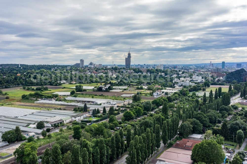 Frankfurt am Main from above - Glass roof surfaces in the greenhouse for vegetable growing ranks in Frankfurt in the state Hesse