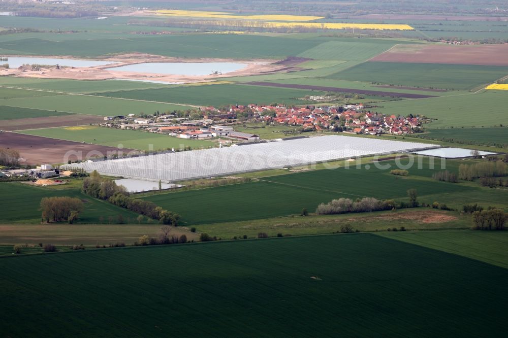 Alperstedt from the bird's eye view: Glass roof surfaces in the greenhouse for vegetable growing ranks Gewaechshausanlage Alperstedt in Alperstedt in the state Thuringia, Germany