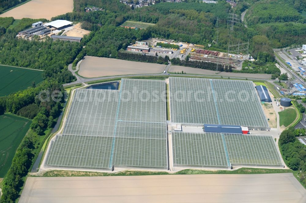 Aerial image Grevenbroich - Glass roof surfaces in the greenhouse for vegetable growing ranks of Neurather Gaertner GbR on Blesdueckerweg in Grevenbroich in the state North Rhine-Westphalia, Germany