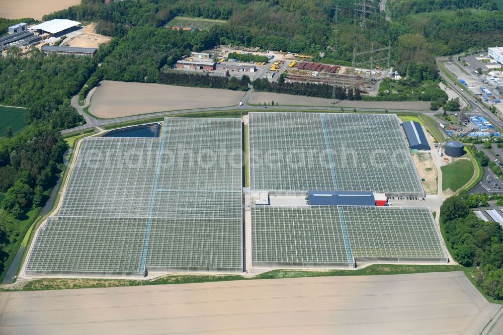 Aerial photograph Grevenbroich - Glass roof surfaces in the greenhouse for vegetable growing ranks of Neurather Gaertner GbR on Blesdueckerweg in Grevenbroich in the state North Rhine-Westphalia, Germany