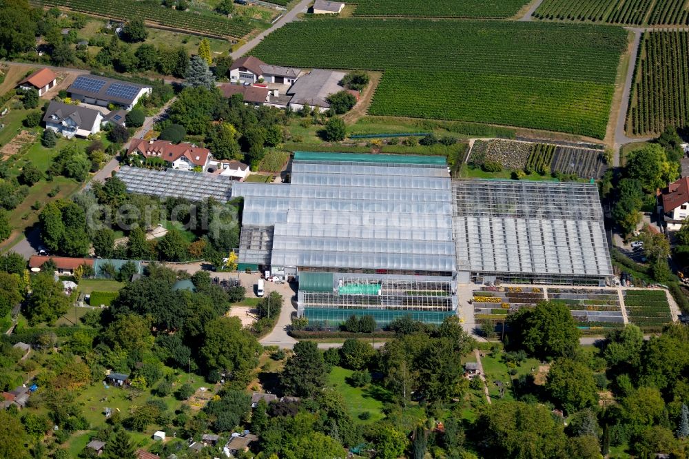 Aerial photograph Heilbronn - Glass roof surfaces in the greenhouse for vegetable growing ranks of Gaertnerei Umbach at Klinge / Staufenberger Weg in Heilbronn in the state Baden-Wurttemberg, Germany