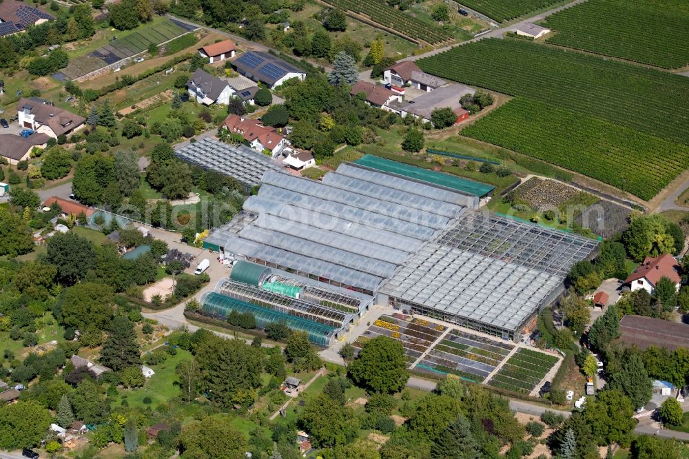 Heilbronn from above - Glass roof surfaces in the greenhouse for vegetable growing ranks of Gaertnerei Umbach at Klinge / Staufenberger Weg in Heilbronn in the state Baden-Wurttemberg, Germany