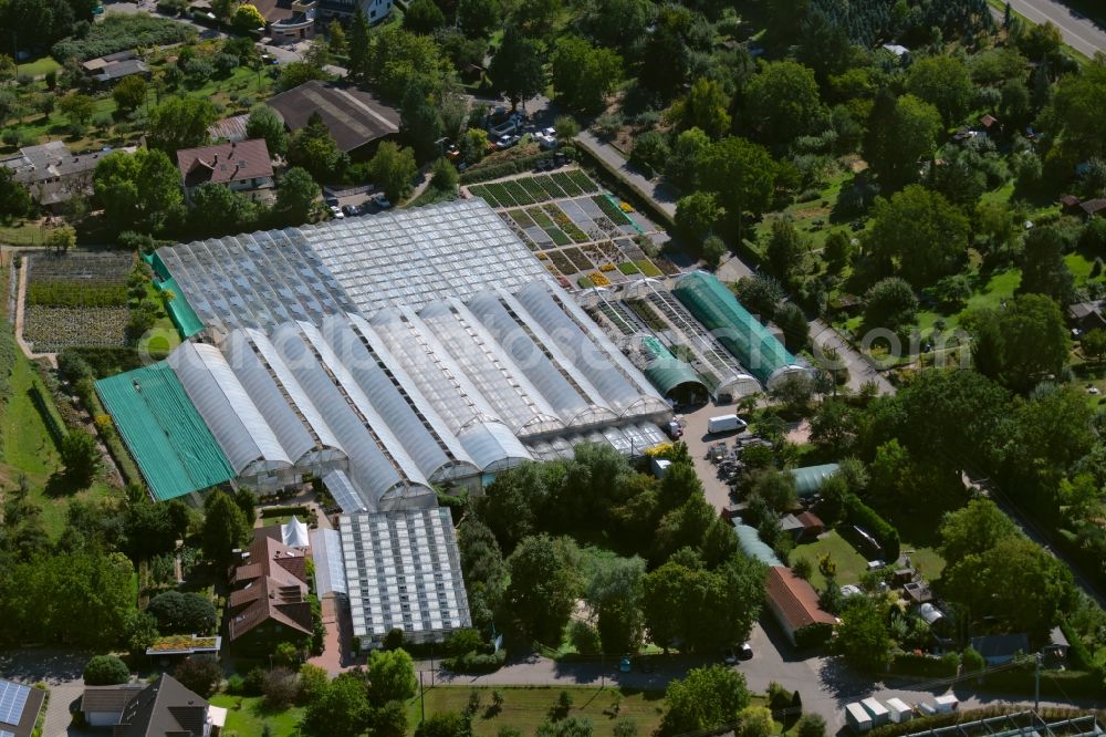 Aerial image Heilbronn - Glass roof surfaces in the greenhouse for vegetable growing ranks of Gaertnerei Umbach at Klinge / Staufenberger Weg in Heilbronn in the state Baden-Wurttemberg, Germany