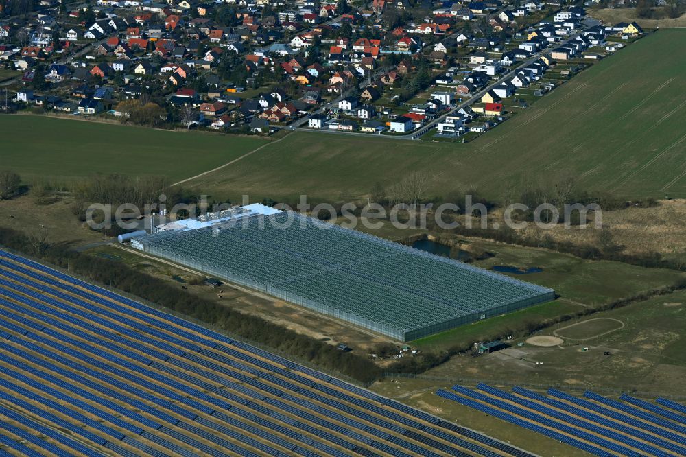 Aerial image Eiche - Glass roof surfaces in the greenhouse for vegetable growing ranks of Havelia GmbH in Eiche in the state Brandenburg, Germany