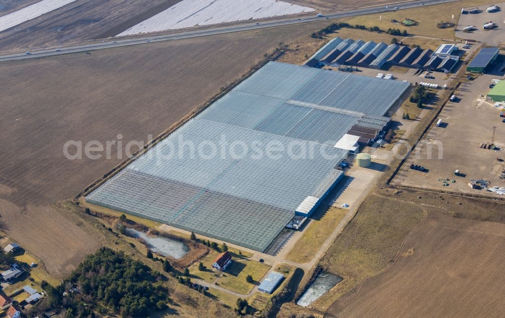 Fretzdorf from above - Glass roof surfaces in the greenhouse for vegetable growing ranks of Havelia GmbH on Fretzdorf in the state Brandenburg, Germany