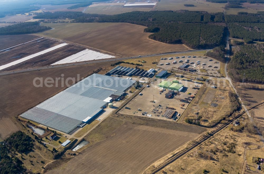 Fretzdorf from the bird's eye view: Glass roof surfaces in the greenhouse for vegetable growing ranks of Havelia GmbH on Fretzdorf in the state Brandenburg, Germany