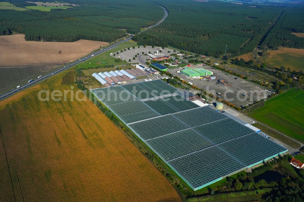 Aerial photograph Fretzdorf - Glass roof surfaces in the greenhouse for vegetable growing ranks of Havelia GmbH on Fretzdorf in the state Brandenburg, Germany