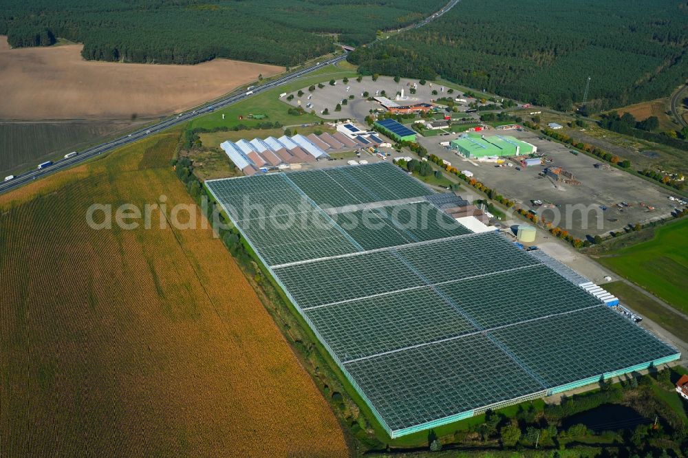 Fretzdorf from above - Glass roof surfaces in the greenhouse for vegetable growing ranks of Havelia GmbH on Fretzdorf in the state Brandenburg, Germany