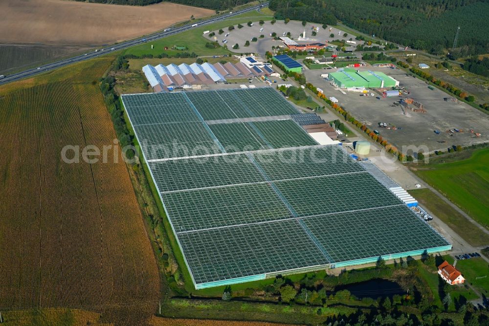 Fretzdorf from the bird's eye view: Glass roof surfaces in the greenhouse for vegetable growing ranks of Havelia GmbH on Fretzdorf in the state Brandenburg, Germany