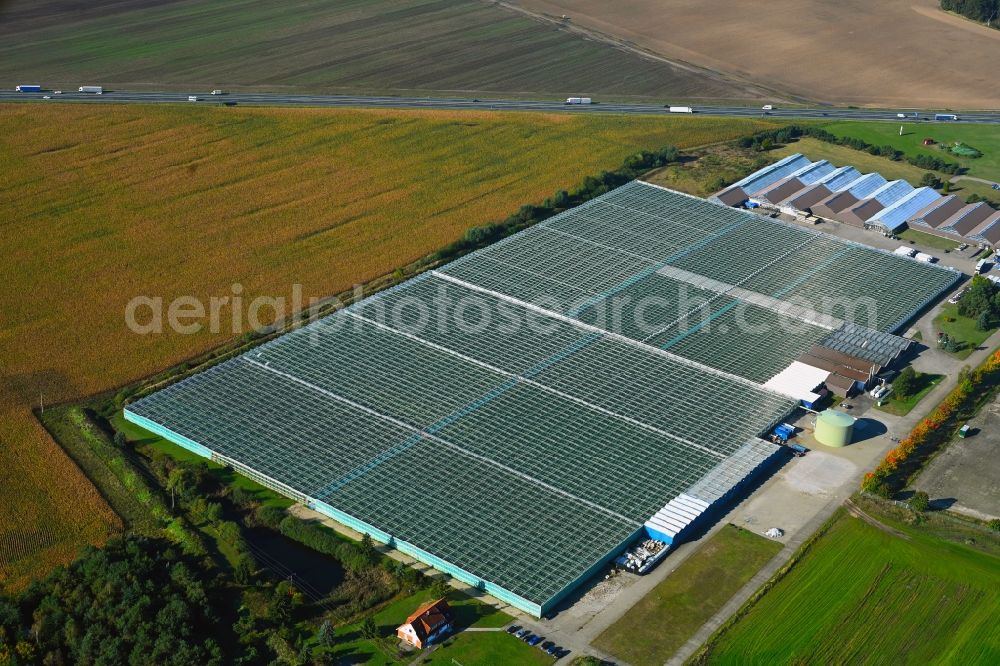 Aerial photograph Fretzdorf - Glass roof surfaces in the greenhouse for vegetable growing ranks of Havelia GmbH on Fretzdorf in the state Brandenburg, Germany