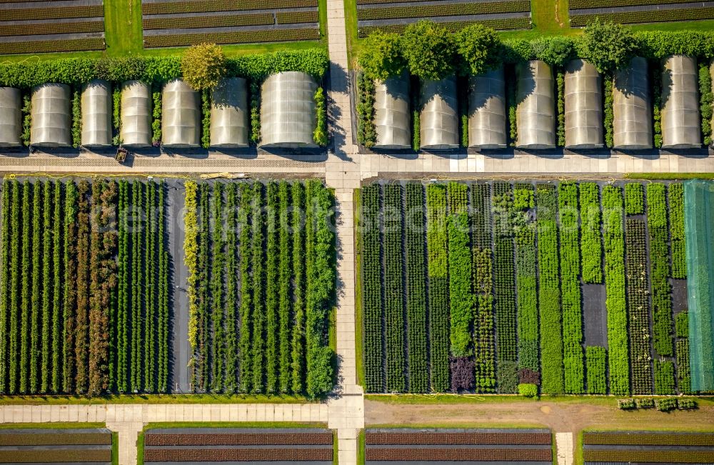 Aerial image Heiligenhaus - Glass roof surfaces in the greenhouse for vegetable growing ranks in Heiligenhaus in the state North Rhine-Westphalia