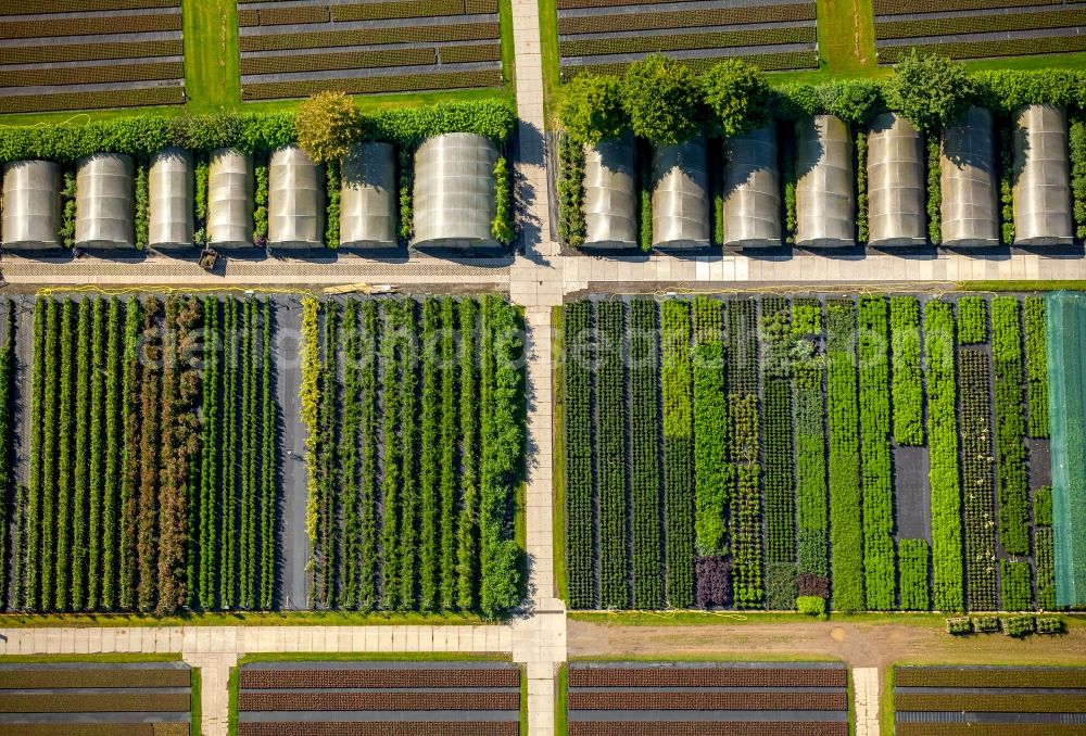 Aerial photograph Heiligenhaus - Glass roof surfaces in the greenhouse for vegetable growing ranks in Heiligenhaus in the state North Rhine-Westphalia