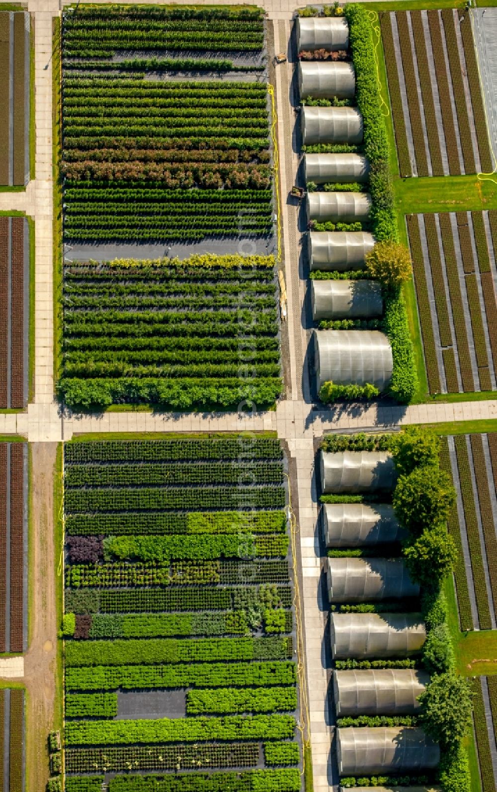 Heiligenhaus from above - Glass roof surfaces in the greenhouse for vegetable growing ranks in Heiligenhaus in the state North Rhine-Westphalia