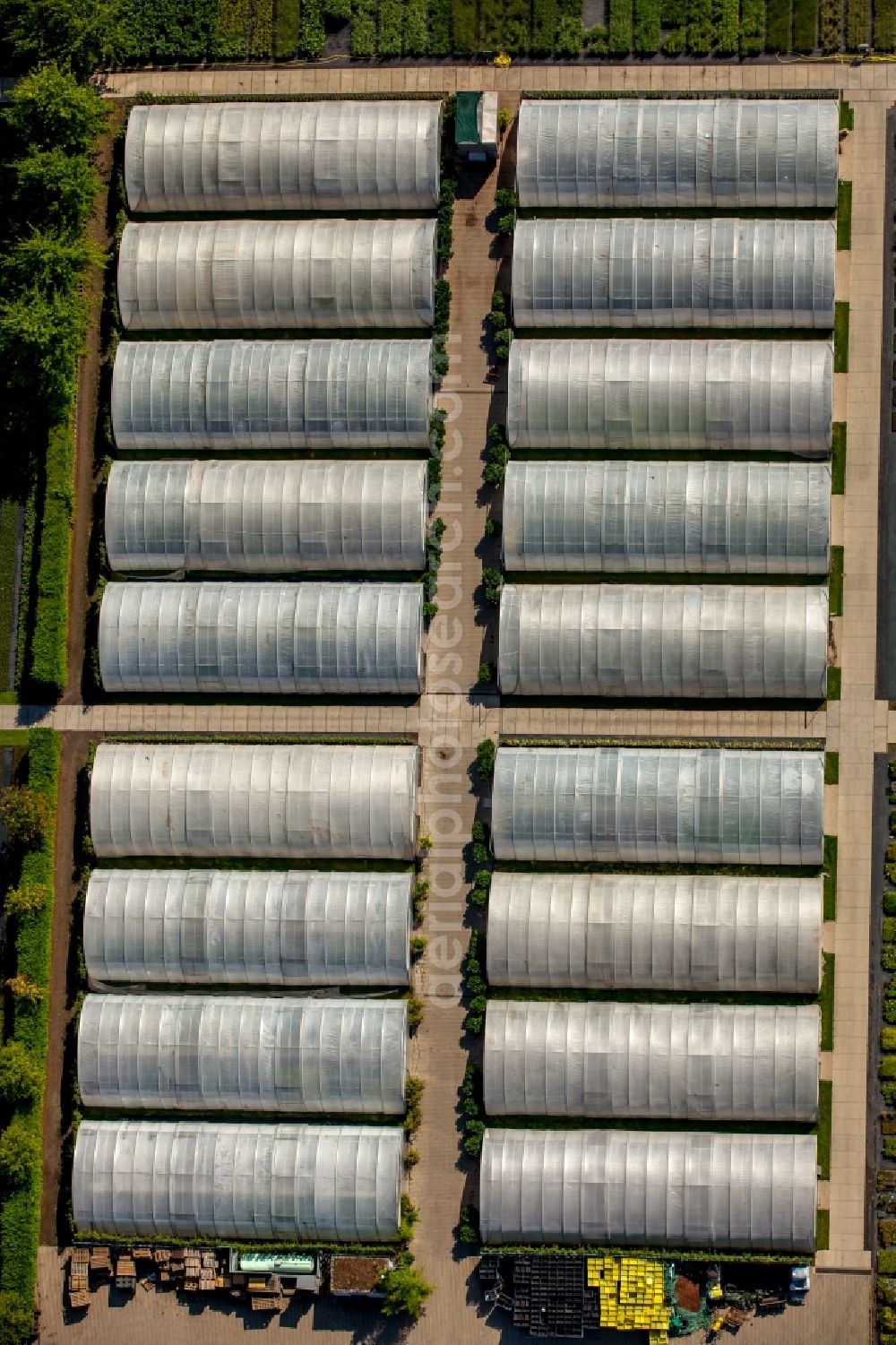 Heiligenhaus from the bird's eye view: Glass roof surfaces in the greenhouse for vegetable growing ranks in Heiligenhaus in the state North Rhine-Westphalia