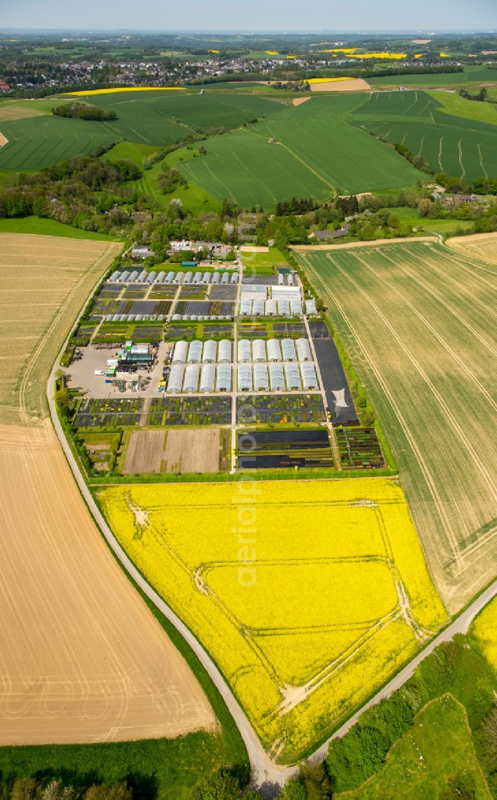 Aerial photograph Heiligenhaus - Glass roof surfaces in the greenhouse for vegetable growing ranks in Heiligenhaus in the state North Rhine-Westphalia