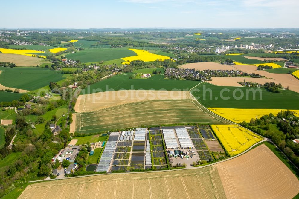 Aerial photograph Heiligenhaus - Glass roof surfaces in the greenhouse for vegetable growing ranks in Heiligenhaus in the state North Rhine-Westphalia