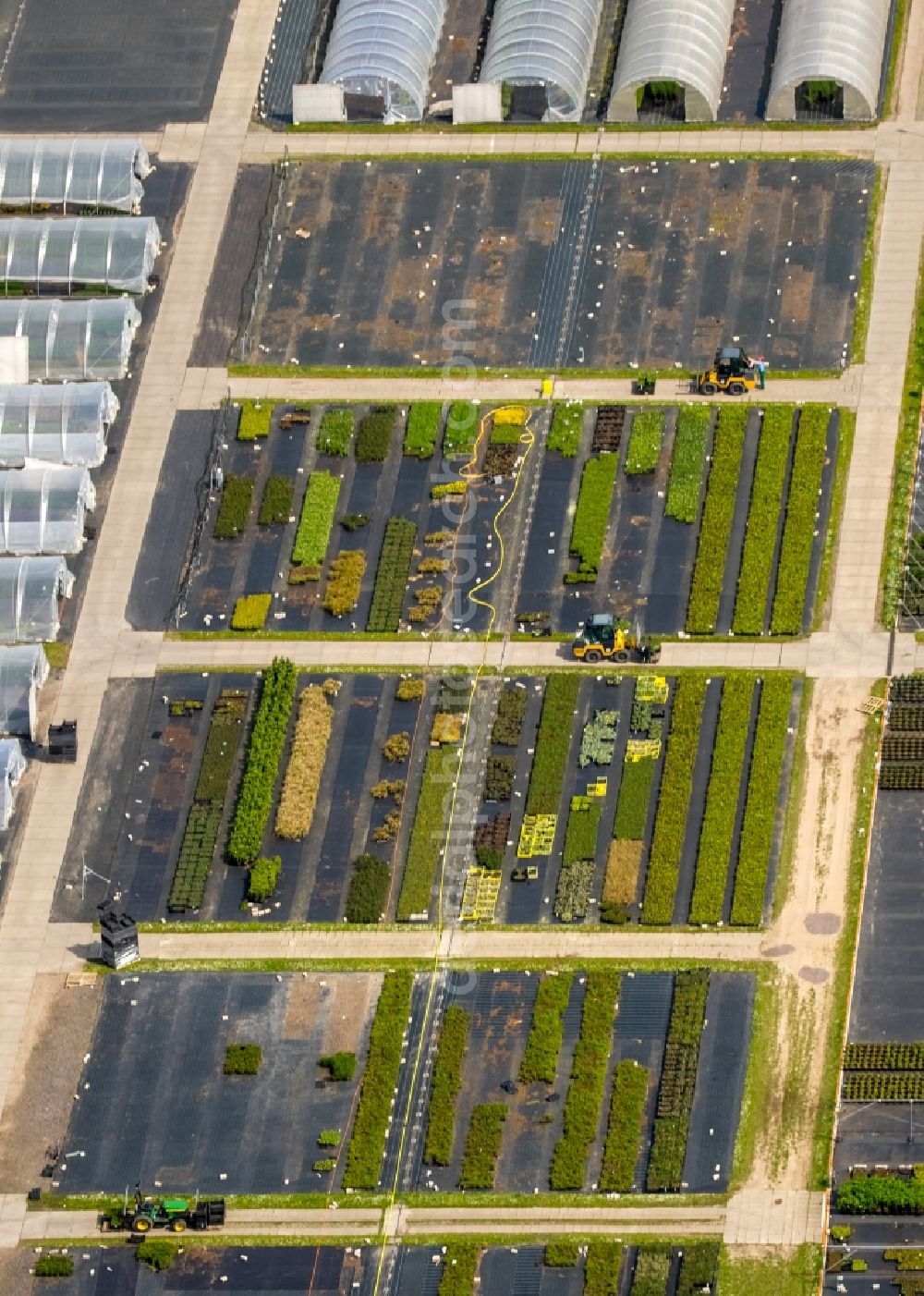 Heiligenhaus from the bird's eye view: Glass roof surfaces in the greenhouse for vegetable growing ranks in Heiligenhaus in the state North Rhine-Westphalia