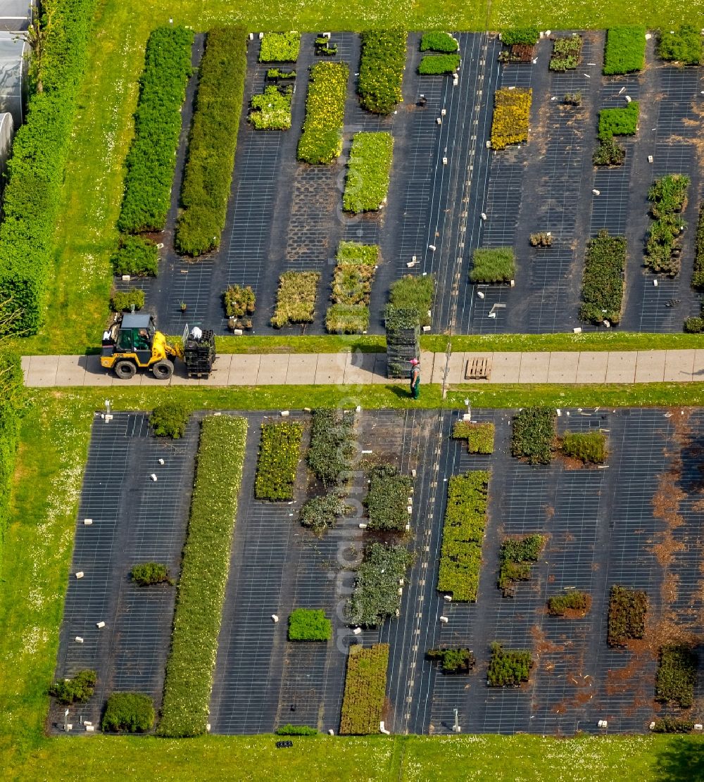 Heiligenhaus from the bird's eye view: Glass roof surfaces in the greenhouse for vegetable growing ranks in Heiligenhaus in the state North Rhine-Westphalia