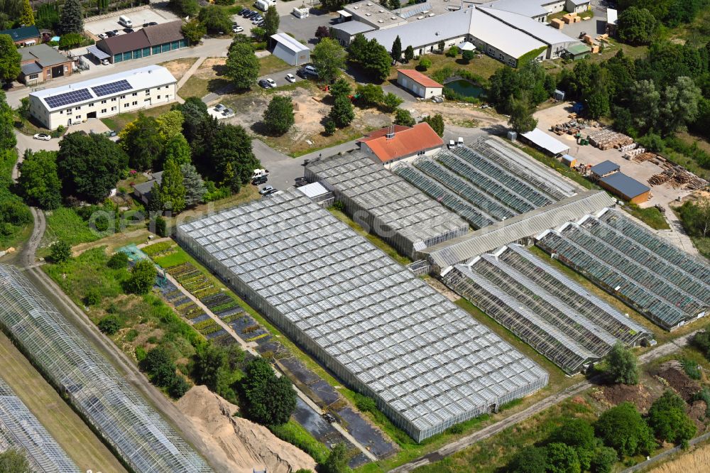 Aerial image Biesenthal - Glass roof surfaces in the greenhouse for vegetable growing ranks of Hoffnungstaler Werkstaetten gGmbH on street Sydower Feld in the district Gruental in Biesenthal in the state Brandenburg, Germany