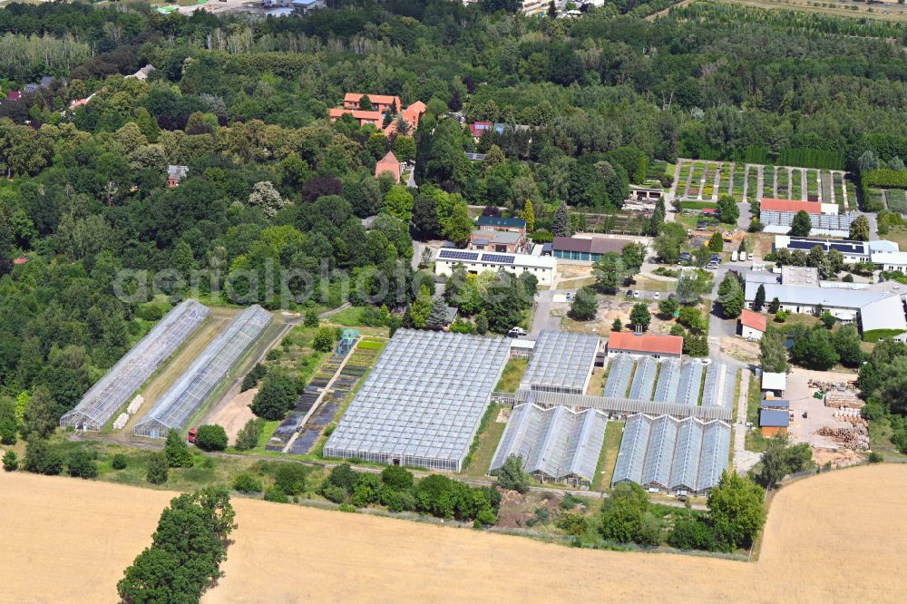 Aerial image Biesenthal - Glass roof surfaces in the greenhouse for vegetable growing ranks of Hoffnungstaler Werkstaetten gGmbH on street Sydower Feld in the district Gruental in Biesenthal in the state Brandenburg, Germany