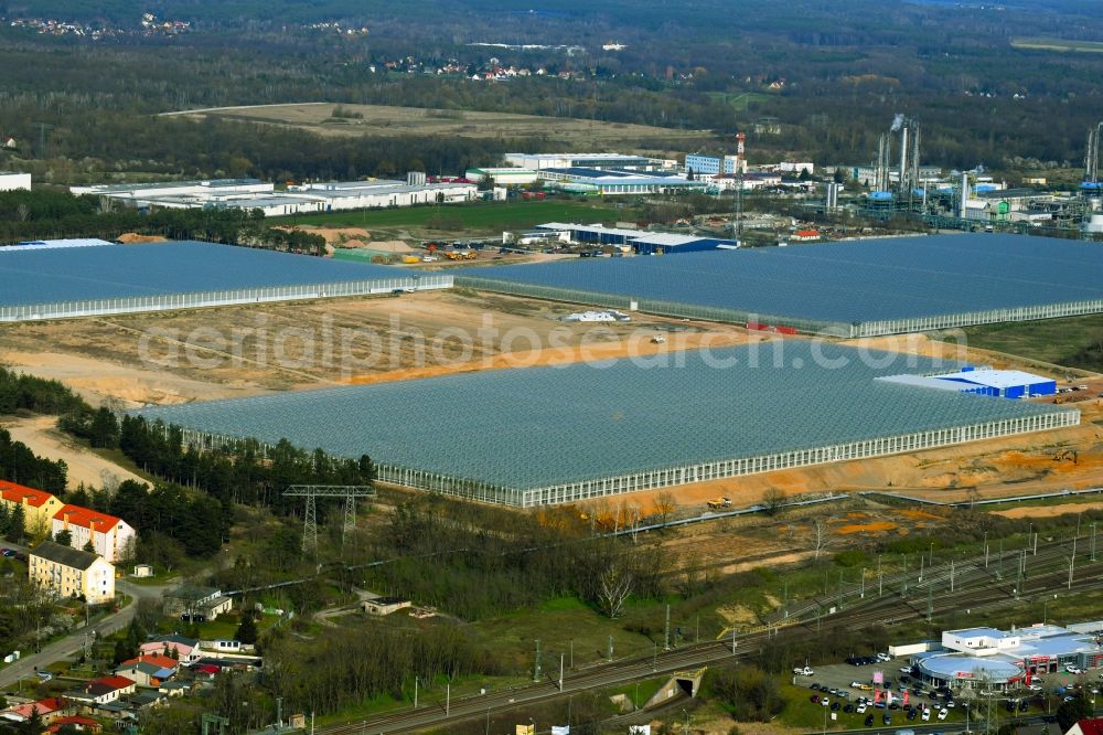 Aerial image Lutherstadt Wittenberg - Glass roof surfaces in the greenhouse for vegetable and fruit growing ranks in Lutherstadt Wittenberg in the state Saxony-Anhalt, Germany