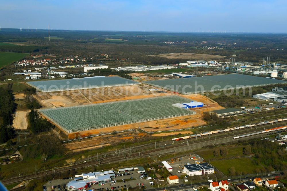 Aerial photograph Lutherstadt Wittenberg - Glass roof surfaces in the greenhouse for vegetable and fruit growing ranks in Lutherstadt Wittenberg in the state Saxony-Anhalt, Germany