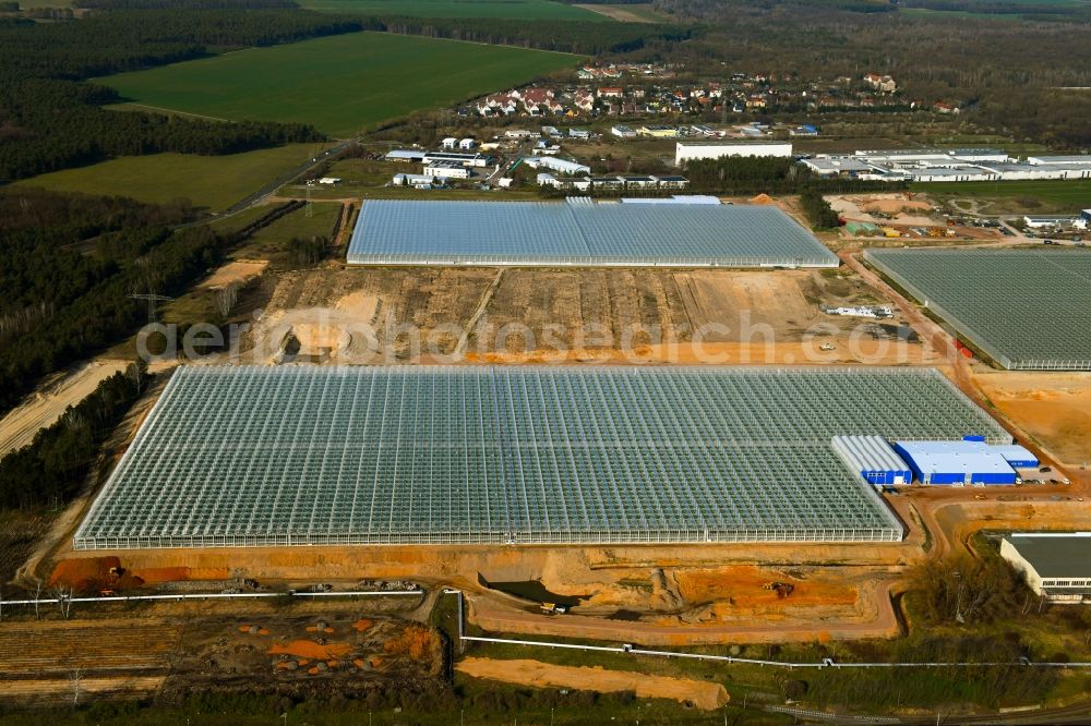 Lutherstadt Wittenberg from above - Glass roof surfaces in the greenhouse for vegetable and fruit growing ranks in Lutherstadt Wittenberg in the state Saxony-Anhalt, Germany