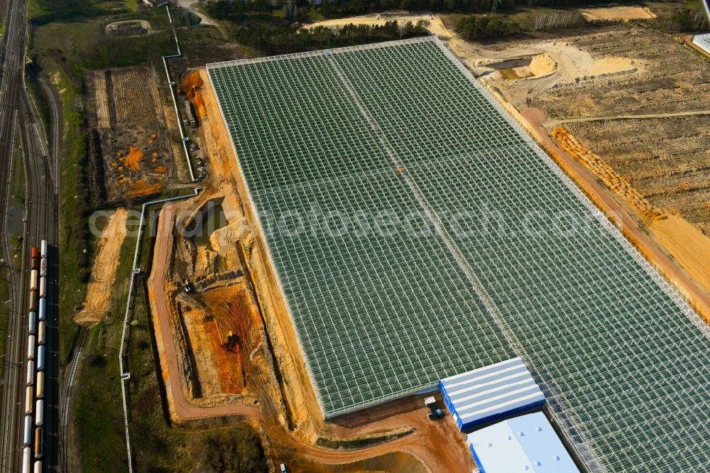 Aerial image Lutherstadt Wittenberg - Glass roof surfaces in the greenhouse for vegetable and fruit growing ranks in Lutherstadt Wittenberg in the state Saxony-Anhalt, Germany