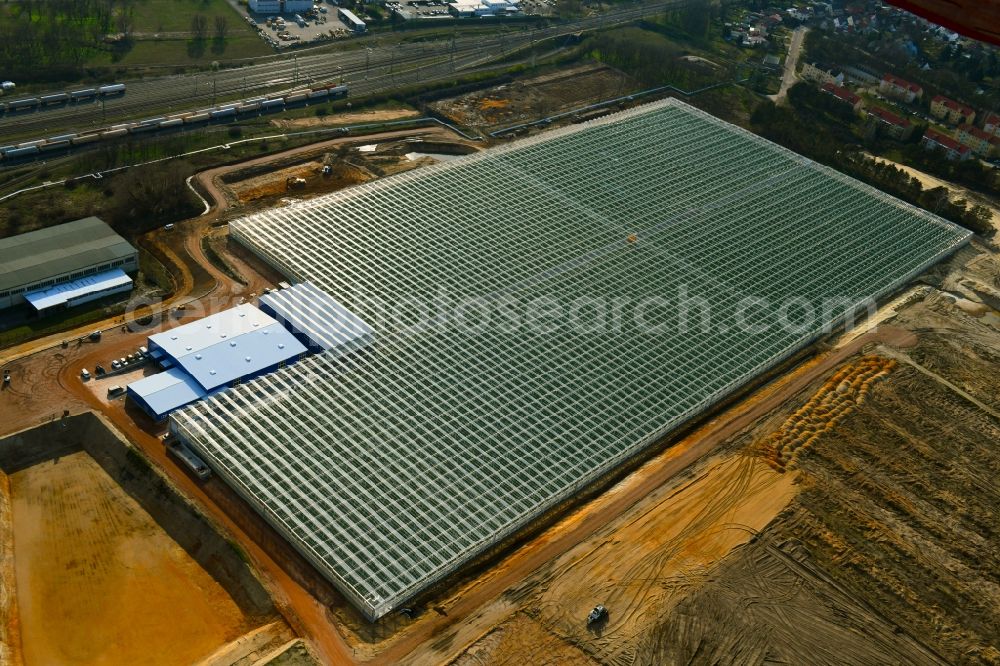 Lutherstadt Wittenberg from the bird's eye view: Glass roof surfaces in the greenhouse for vegetable and fruit growing ranks in Lutherstadt Wittenberg in the state Saxony-Anhalt, Germany