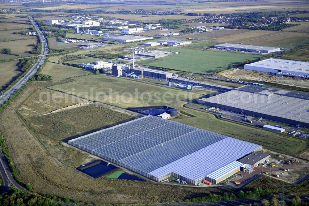 Aerial image Osterweddingen - Glass roof surfaces in the greenhouse for vegetable growing ranks on Appendorfer Weg in Osterweddingen in the state Saxony-Anhalt, Germany