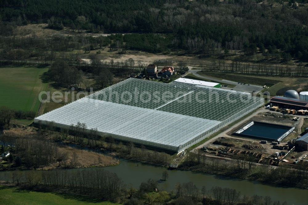 Bralitz from above - Glass roof surfaces in the greenhouse for vegetable growing ranks of Werder Frucht GmbH in Bralitz in the state Brandenburg