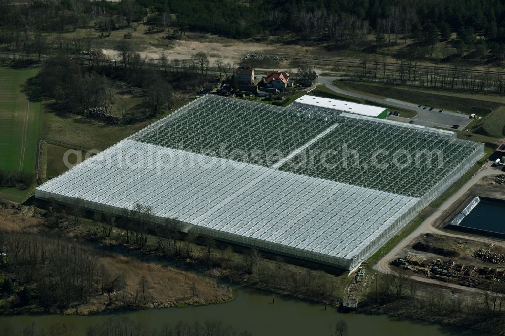 Bralitz from the bird's eye view: Glass roof surfaces in the greenhouse for vegetable growing ranks of Werder Frucht GmbH in Bralitz in the state Brandenburg