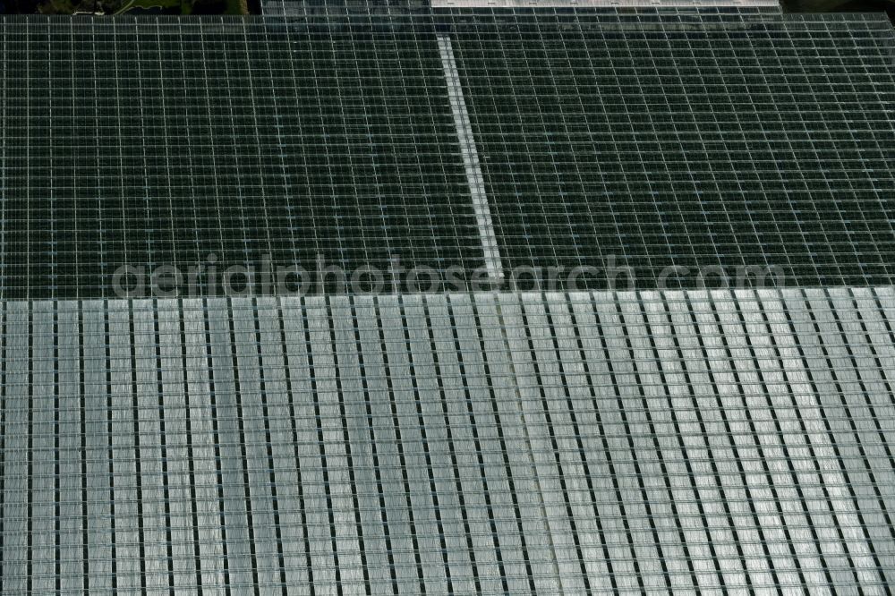 Aerial image Bralitz - Glass roof surfaces in the greenhouse for vegetable growing ranks of Werder Frucht GmbH in Bralitz in the state Brandenburg