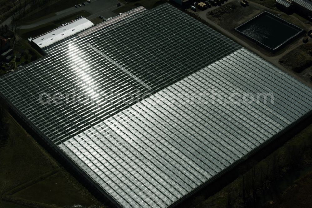 Bralitz from above - Glass roof surfaces in the greenhouse for vegetable growing ranks of Werder Frucht GmbH in Bralitz in the state Brandenburg