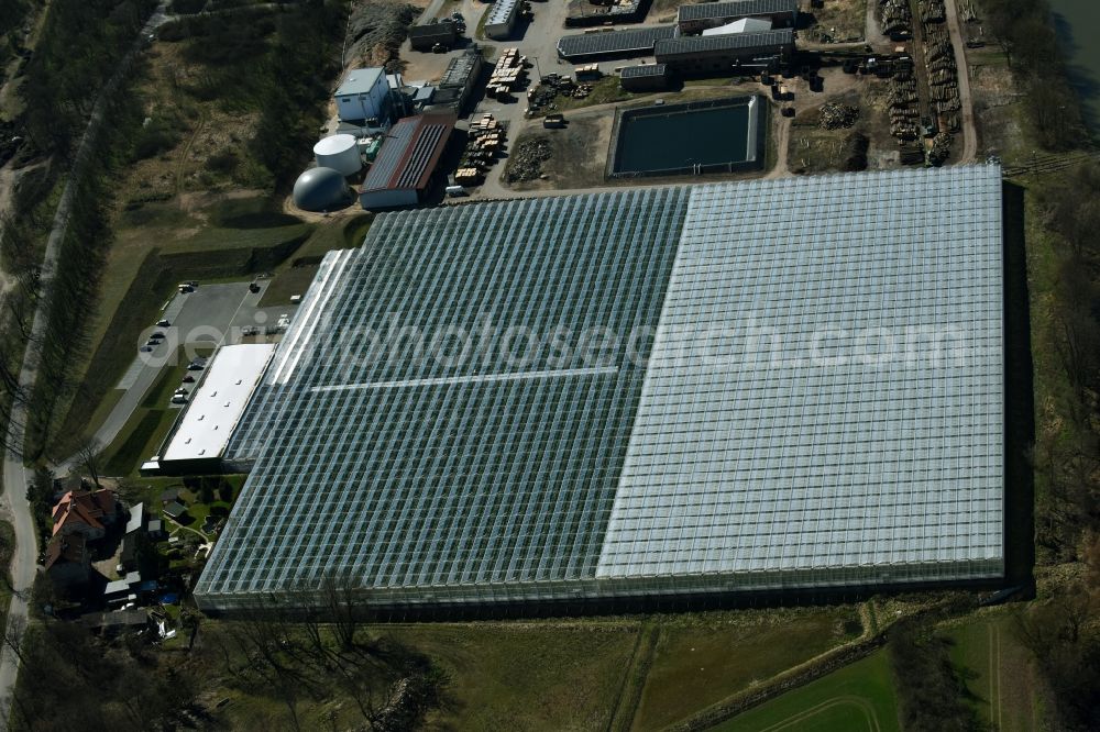 Aerial image Bralitz - Glass roof surfaces in the greenhouse for vegetable growing ranks of Werder Frucht GmbH in Bralitz in the state Brandenburg