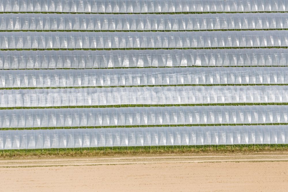 Aerial image Pulheim - Glass roof surfaces in the greenhouse for vegetable growing ranks in Pulheim in the state North Rhine-Westphalia, Germany