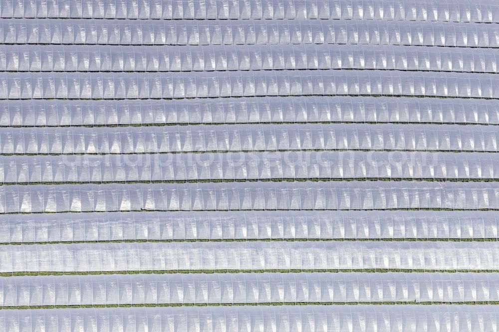 Aerial photograph Pulheim - Glass roof surfaces in the greenhouse for vegetable growing ranks in Pulheim in the state North Rhine-Westphalia, Germany