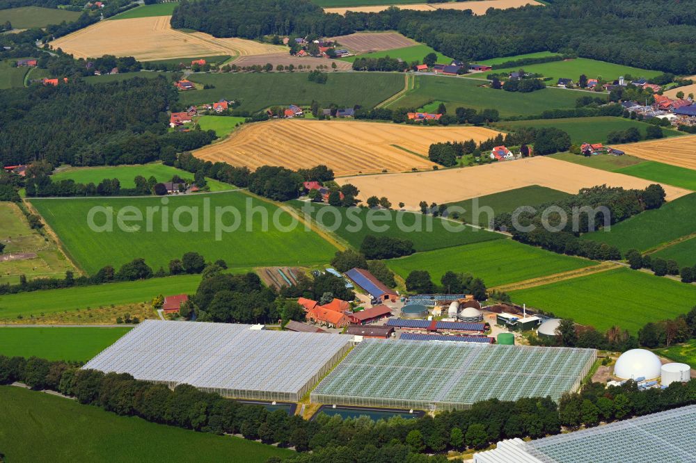 Sassenberg from the bird's eye view: Glass roof surfaces in the greenhouse for vegetable growing ranks Querdel Biohof on street Elve in the district Fuechtorf in Sassenberg in the state North Rhine-Westphalia, Germany