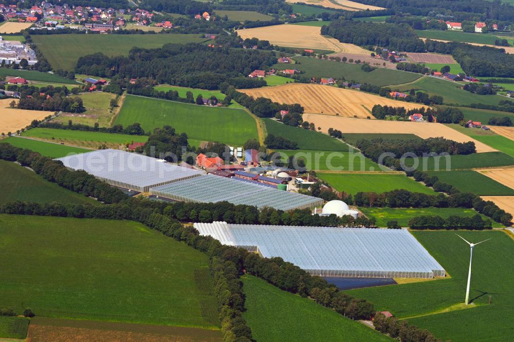 Aerial image Sassenberg - Glass roof surfaces in the greenhouse for vegetable growing ranks Querdel Biohof on street Elve in the district Fuechtorf in Sassenberg in the state North Rhine-Westphalia, Germany