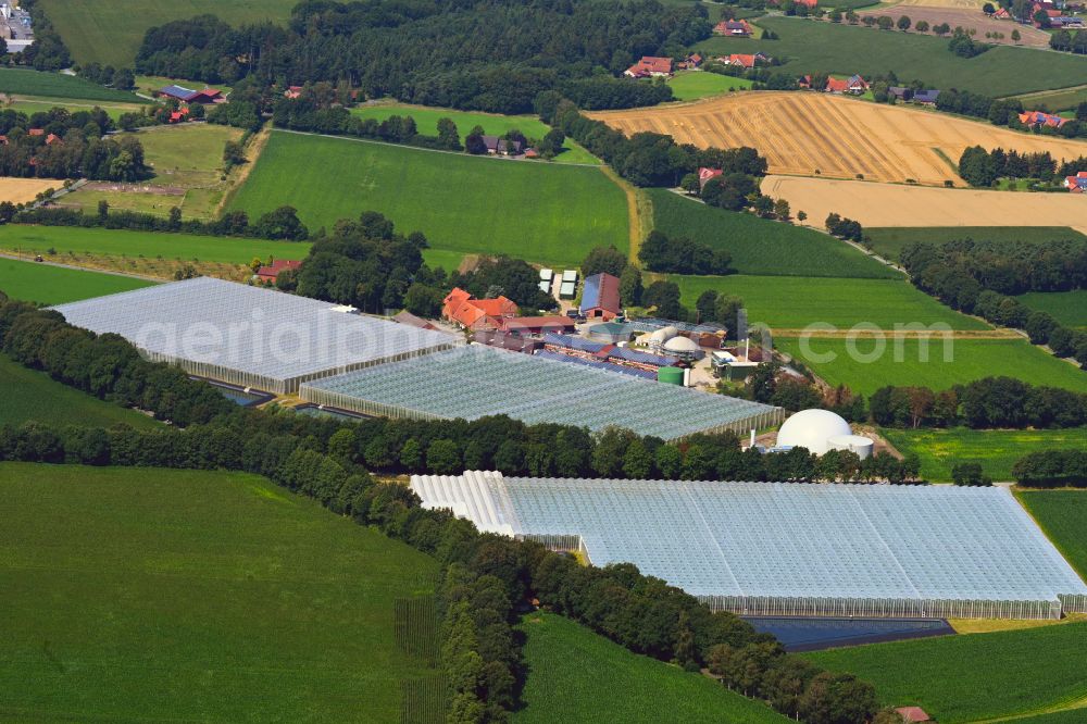 Aerial photograph Sassenberg - Glass roof surfaces in the greenhouse for vegetable growing ranks Querdel Biohof on street Elve in the district Fuechtorf in Sassenberg in the state North Rhine-Westphalia, Germany