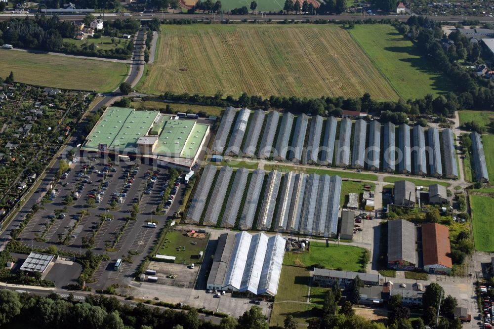 Aerial photograph Radebeul - Glass roof surfaces in the greenhouse for vegetable growing ranks of the Saechsische Jungpflanzen Genossenschaft eG in Radebeul in the state Saxony