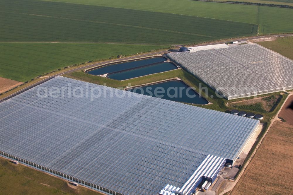 Aerial photograph Birchington - Glass roof surfaces in the greenhouse for vegetable growing ranks of von Thanet Earth in England, United Kingdom