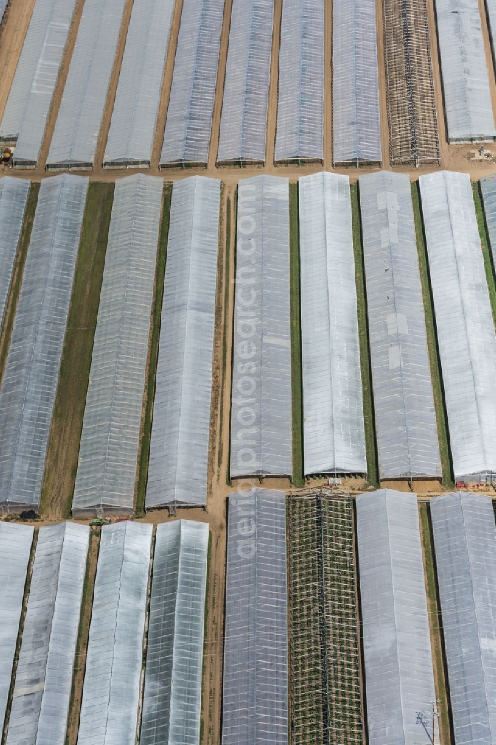 Aerial image Torre del Greco - Glass roof surfaces in the greenhouse for vegetable growing ranks in Torre del Greco in Italy