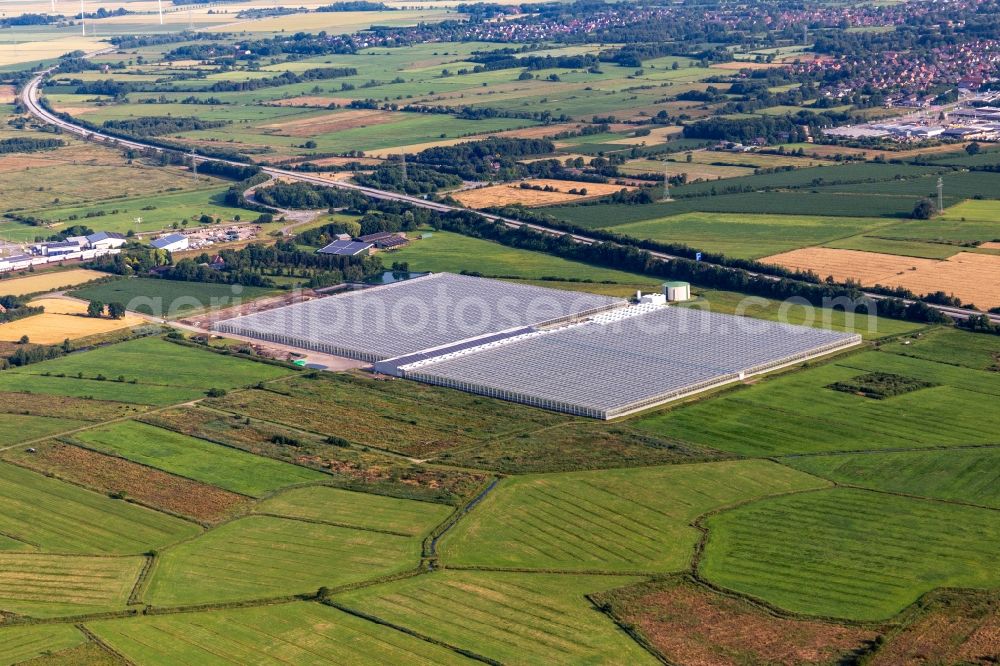 Hemmingstedt from above - Glass roof surfaces in the greenhouse for vegetable growing ranks of Vitarom frischgemuese GmbH in Hemmingstedt in the state Schleswig-Holstein, Germany